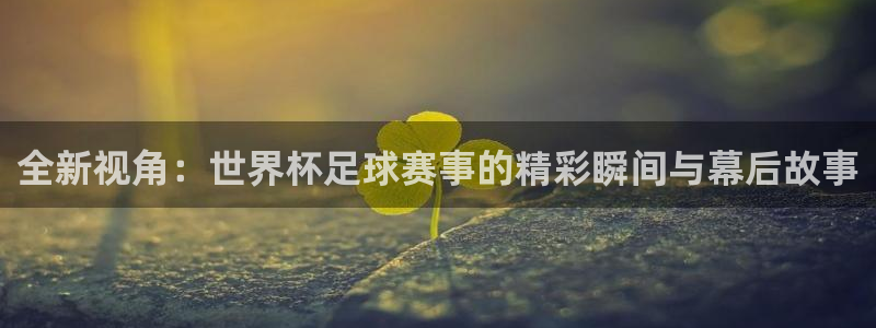 国际足联世界杯：全新视角：世界杯足球赛事的精彩瞬间与幕后故事