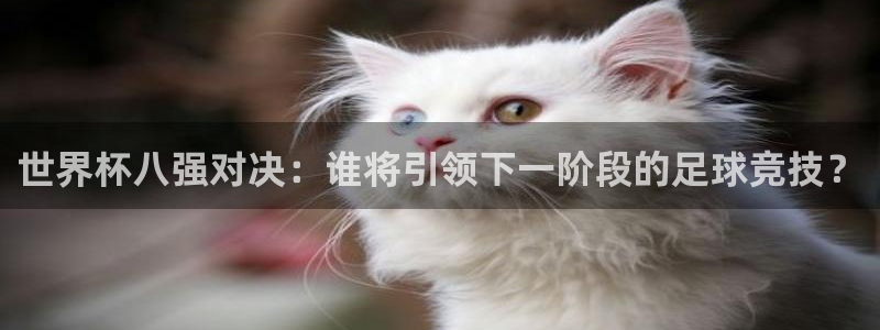 世界杯官网入口：世界杯八强对决：谁将引领下一阶段的足球竞技？