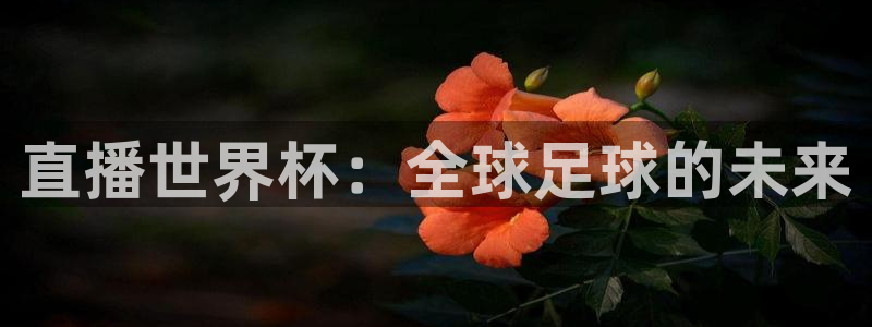 世界杯预选赛欧洲赛区赛程：直播世界杯：全球足球的未来
