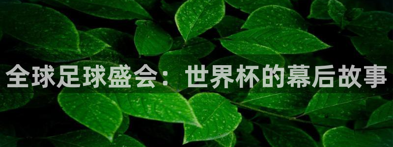 世界杯预选赛欧洲赛区积分榜：全球足球盛会：世界杯的幕后故事