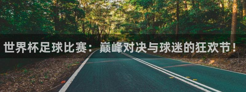 世界杯16强赛程表：世界杯足球比赛：巅峰对决与球迷的狂欢节！