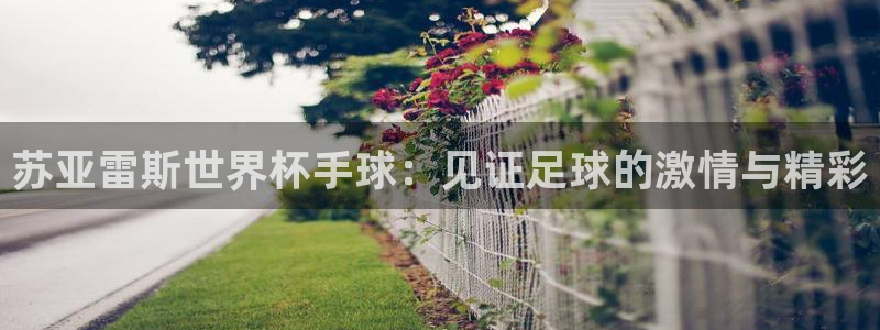 世界杯：苏亚雷斯世界杯手球：见证足球的激情与精彩