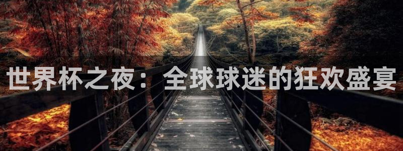 世界杯：世界杯之夜：全球球迷的狂欢盛宴