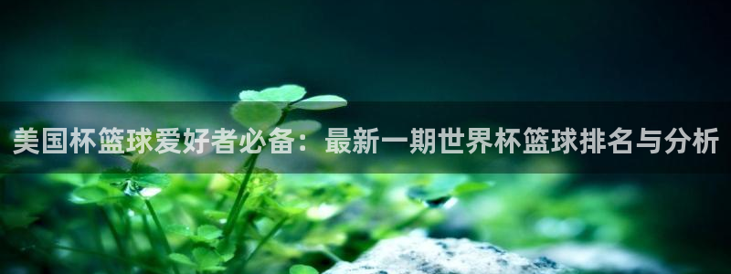 世界杯：美国杯篮球爱好者必备：最新一期世界杯篮球排名与分析