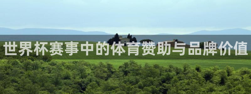 世界杯决赛直播：世界杯赛事中的体育赞助与品牌价值