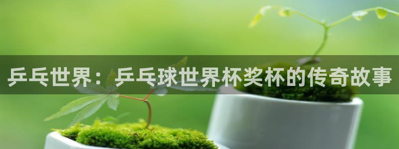 世界杯亚洲预选赛18强赛程：乒乓世界：乒乓球世界杯奖杯的传奇故事