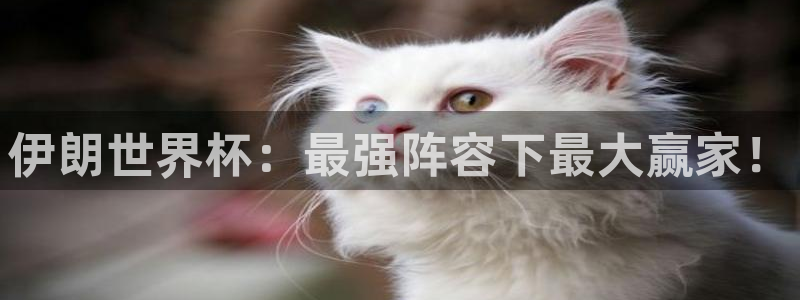 预选赛世界杯：伊朗世界杯：最强阵容下最大赢家！
