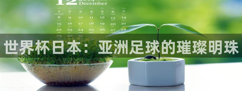 2026世界杯足球赛程时间表：世界杯日本：亚洲足球的璀璨明珠