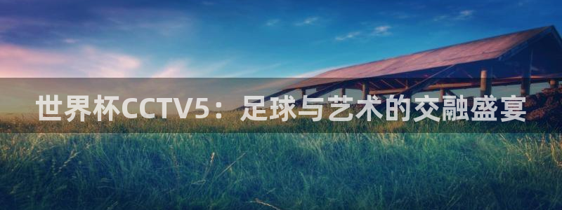 2026世界杯中国队：世界杯CCTV5：足球与艺术的交融盛宴