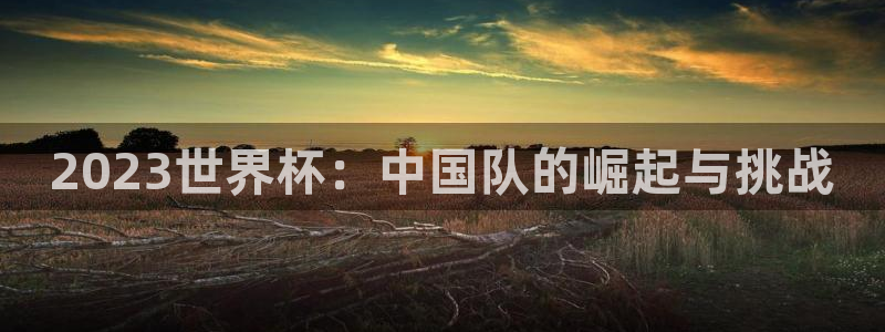 2006年世界杯：2023世界杯：中国队的崛起与挑战