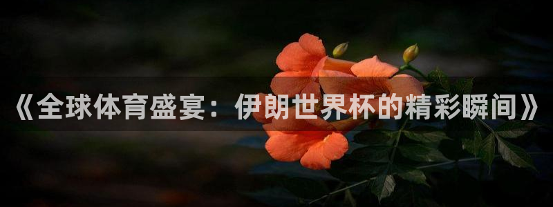 美洲杯直播：《全球体育盛宴：伊朗世界杯的精彩瞬间》