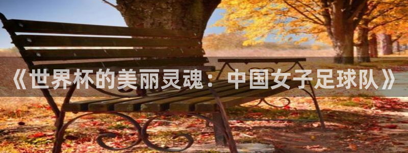 今天所有足球赛程表：《世界杯的美丽灵魂：中国女子足球队》