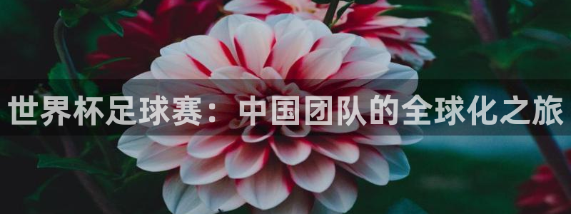 世预赛直播：世界杯足球赛：中国团队的全球化之旅