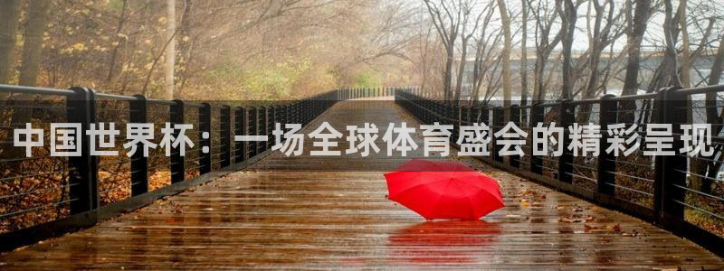 2026世界杯亚洲预选赛：中国世界杯：一场全球体育盛会的精彩呈现