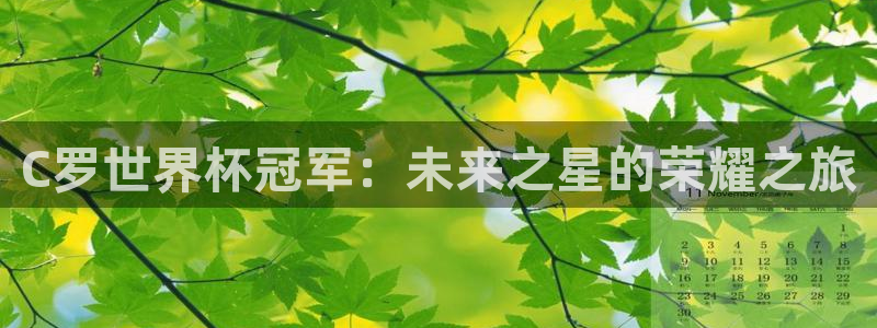 2026足球世界杯赛程：C罗世界杯冠军：未来之星的荣耀之旅