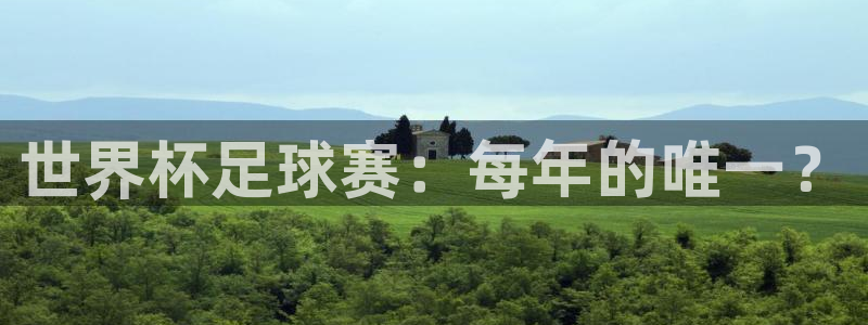 足球世预赛：世界杯足球赛：每年的唯一？